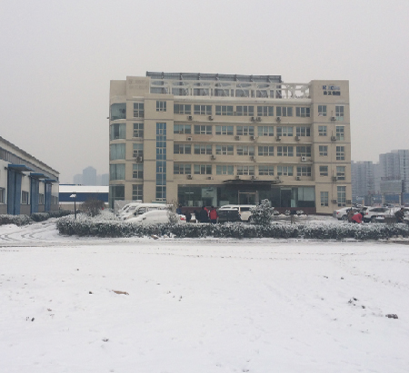 公司同事扫雪忙 公司同事扫雪忙