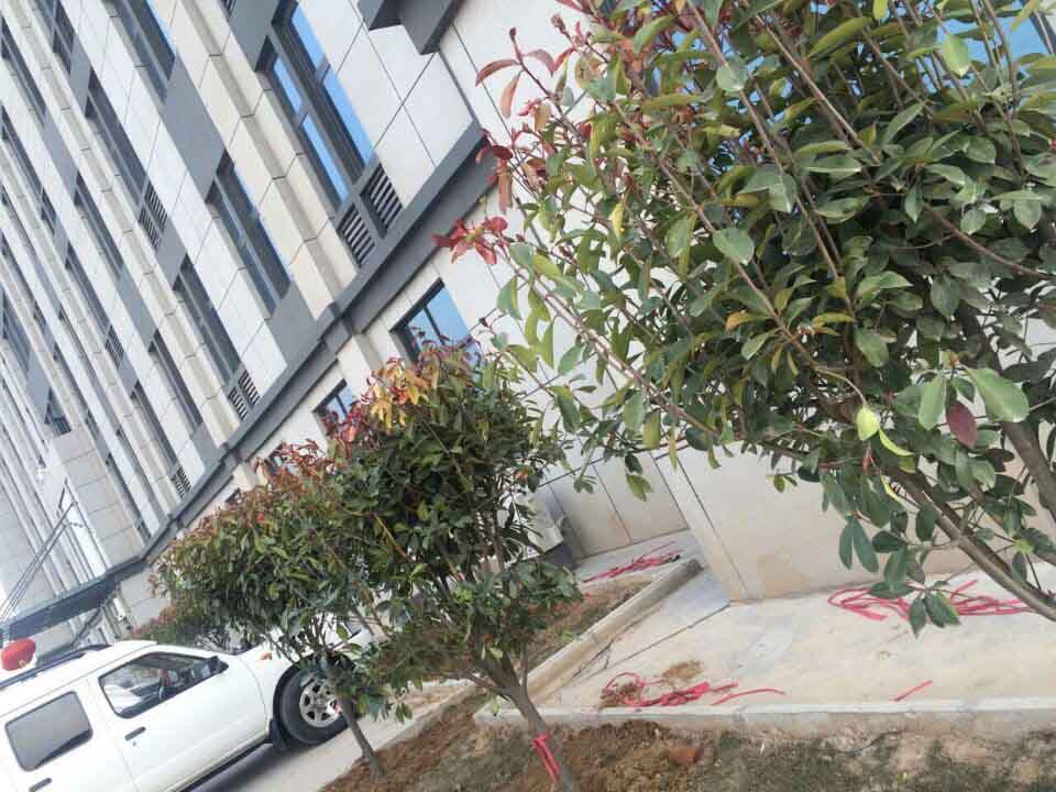 河南MK网总代理