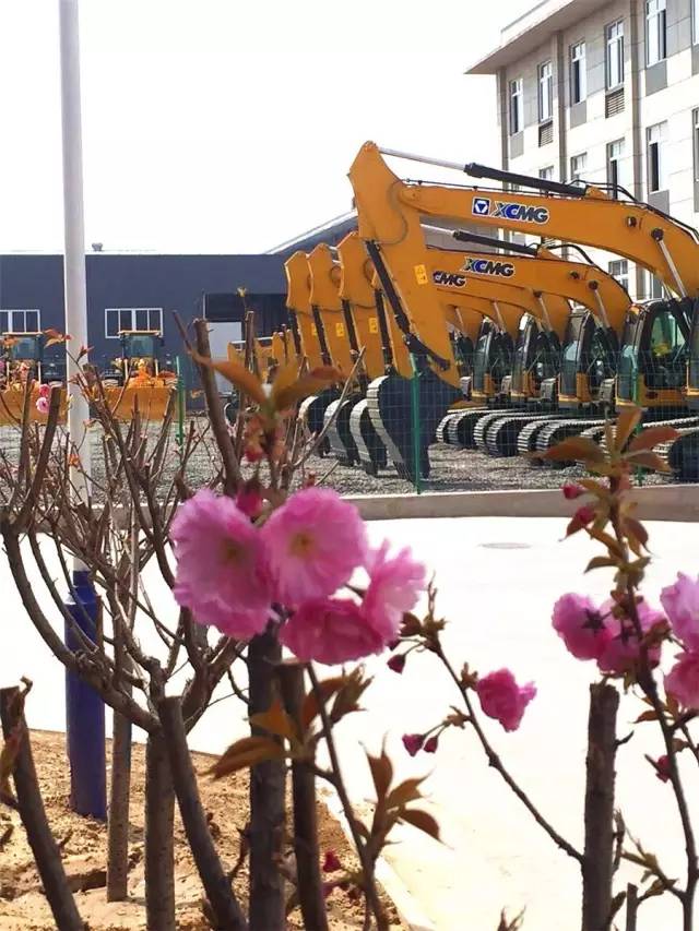 花朵旁的钢铁侠，刚柔并济