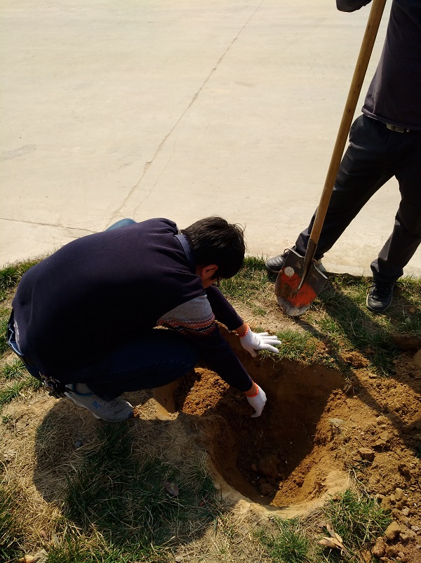 MK网机械总代理 400-990-3710