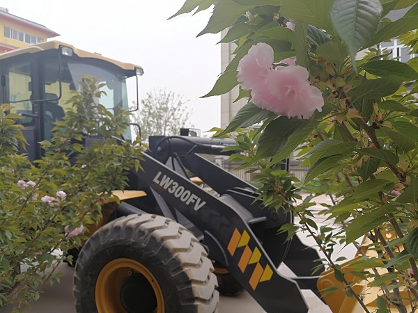 樱花树下的MK网装载机