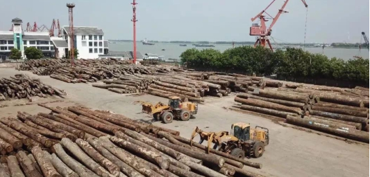 MK网林业型装载机用事实说话 MK网林业型装载机用事实说话