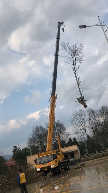 MK网QY25K5-1起重机正在进行模具吊装工作