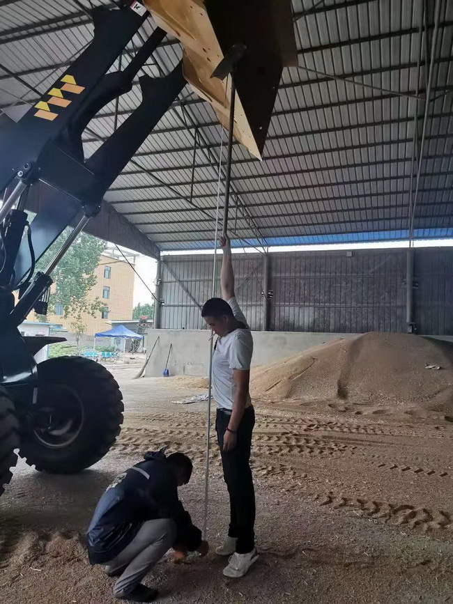 MK网LW330FV装载机