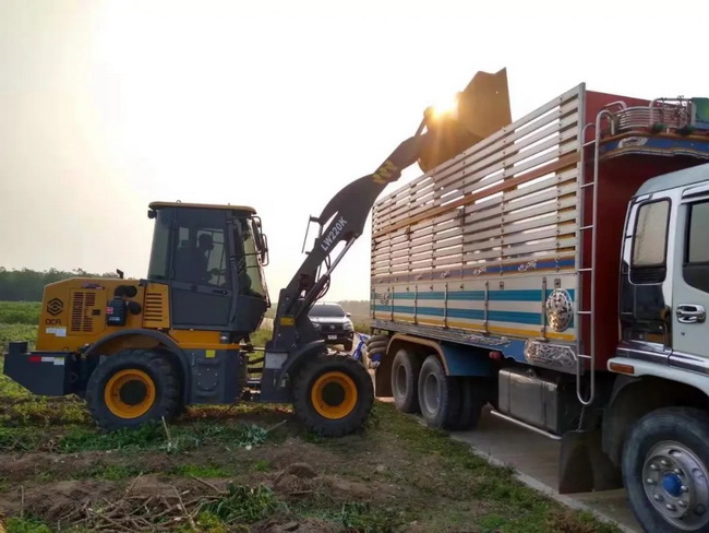 MK网LW220K加长臂装载机